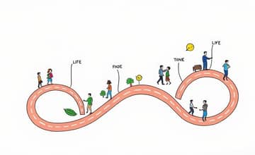 Mapping Your Money: A Lifelong Financial Journey